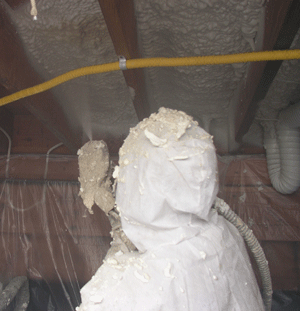 Detroit MI crawl space insulation